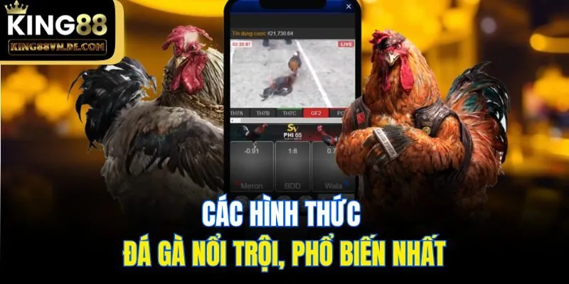 Các hình thức đá gà nổi trội, phổ biến nhất